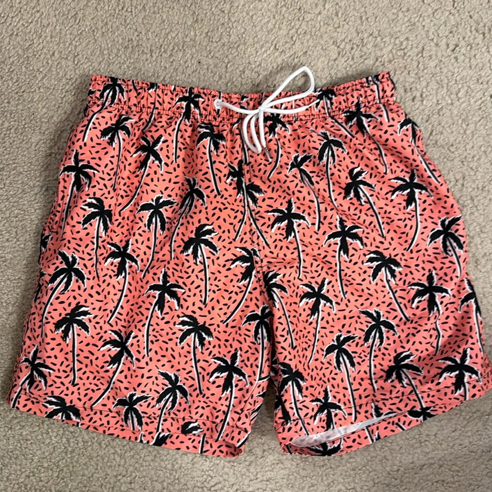 Boardies bathing suit / swim